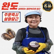 완도 활 전복장 2kg 직거래 수산, 전복장조림 완도 전복장 2kg (선물용)
