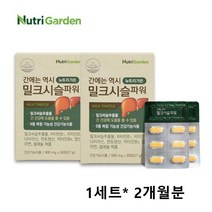 밀크시슬 리버케어 간에좋은 영양제 실리마린 실리빈 비타민B군 나이아신 판토텐산 직장인 남성 여성 피로 간보호 간건강, 30정 x 2박스