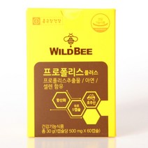 종근당건강 와일드비 프로폴리스 플러스 500mg x 120캡슐 2박스 4개월분, 2개, 120정