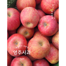 사과 유명한곳 꿀 영주 부사 못난이사과 5kg 10kg, 정품 중소과 10kg (40~46과)