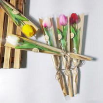 가더GADE 튤립꽃다발 한송이 1송이 졸업식 행사 기념일 축하 선물 유치원 어린이집, 8AB) PK