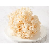 최고급생꽃송이버섯, 일반포장, 1kg, 1개
