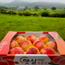 과일친구들 말랑이 딱딱이 복숭아 4kg, (15-18과) 4kg, 1개