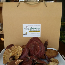 국산 자연산 영지버섯 달임액 /성인병 면역력 강화 등