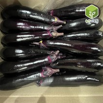 가지 상 5kg, 1개