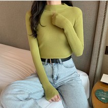 풀오버니트 롱 소매 후드 톱 여성 겨울 가을 이너 티 슬림 스키니핏 반목 스웨터 2638617824