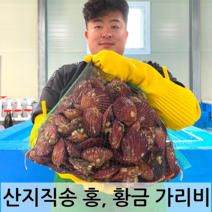 남해안 청정해역 통영 당일조업 산지직송 생물 명품 홍가리비 황금가리비, 홍 가리비 5kg (150미-125미)