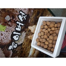 호두 햇호두 (국내산 토종호두)1kg, 1, 1개
