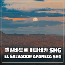 (커피생두) 284 엘살바도르 아파네카SHG 1kg