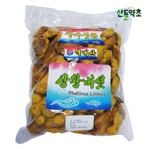 프리미엄 국산 장수 상황버섯 250g, 국산  상황버섯 250g, 1개