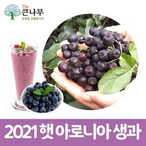 2021년 아로니아 냉동과 10kg, 단품