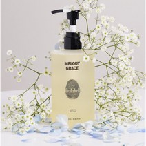 크랙쉘 약산성 조향사 콜라보 향기좋은 자연유래 각질개선 바디워시 320ml, 1개