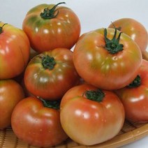 행복한 농부 정품 찰토마토 /5kg 토마토 드시고 건강하세요, 찰토마토5kg(4번/중소)