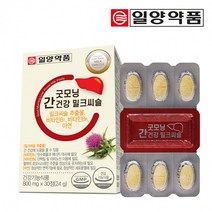일양약품 굿모닝 간건강 밀크씨슬 아연 30정 X 2박스 2개월분, 상세페이지 참조, 상세페이지 참조, 상세페이지 참조