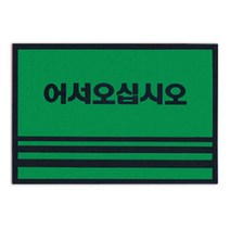 [특종] 카펫매트 로고 60x90(그린)