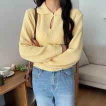 데일리 봄 카라 버튼 와플 니트티
