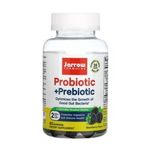 Jarrow Formulas 재로우포뮬러스 프로바이오틱 20억CFU 60구미 자일로올리고당 바실러스 코아귤런스 고초균 바실러스 써브틸리스 Bacillus coagulans