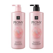 미쟝센 펄 샤이닝 리페어 퍼퓸 샴푸 1개 + 트리트먼트 1개 피오니향 1000ml