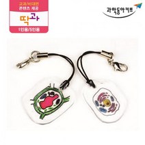 세포 관찰 모형 핸드폰 열쇠 고리 만들기 5인 과학기자재 실험키트 과학실험교구 실험 어린이집교구 실험실
