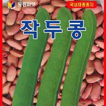 [가람종묘사] 작두콩 씨앗(각종 비염 축농증 중이염 변비 두통등에 효능 한해살이 덩굴성 콩