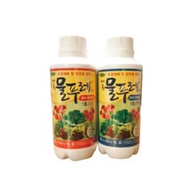 대유 물푸레 1호 엽체 화훼용 수경 재배 영양제 양액 비료 A액 B액/식물 트리안 몬스테라 관주, 1호 A액+B액