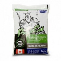 프락티캣 사과향 10L X 2개 고양이모래 배변모래, 쿠팡 본상품선택, 상세페이지 참조