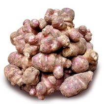 [뜰안애] 국내산 자색 돼지감자 3kg, 단품