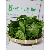 #가락시장 나물이네# 당일경매 제주취나물4kg 청정지역제주 향긋한취나물/오후2시이전주문당일출고99%/주말 공휴일제외, 4kg, 1개