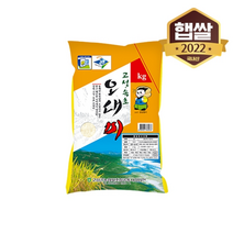 [이쌀이다] 22년산 고성속초 오대미 4kg