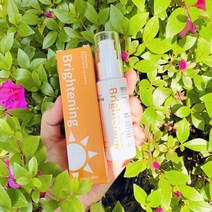[1+1] NO 눈시림 얼굴가려움 무기자차 선톤업크림 50ml, 50ml+50ml