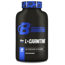 바디빌딩 L-카르니틴 500mg 캡슐, 180개입, 1개, 180정