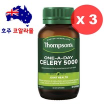 톰슨 셀러리 5000mg 60캡슐 Celery 3개 호주코알라몰 호주직구, 4병