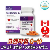 코스트코 캐나다 큐엔자임 코엔자임 큐텐 코큐텐 COENZYME q10 고쿠텐 코큐10 실버 어르신 혈압 활력 영양제, 6박스