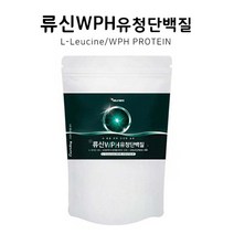 류신 WPH 유청단백질분말 560g WPC 유청농축단백분말 L-로이신 BCAA 아미노액티브 완두단백분말 발린 이소로이신 함유 프로틴파우더 프로틴분말 단백질파우더