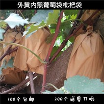 포도 비닐커버 루비로망 포장지 반백색 봉투 반투명 몰드, 23*32(칼자루홑겹외황내흑100)