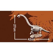 한반도공룡뼈발굴 - 부경고사우루스 XLD3, 1개