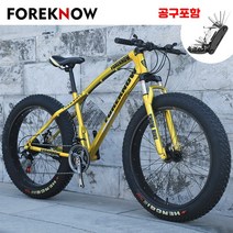 산악 MTB 자전거 광폭타이어 팻바이크 30단 자출용 자전거 공구포함, 실버, 30단(공구포함), 24인치