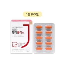 진정주 덴티 플러스(60정), 1통, 60정