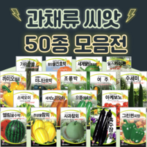 호박 단호박 수박 오이 씨앗 종자 50종 수세미 방울 토마토 파프리카 씨앗 여주 종자, 29. 얼스미야꼬멜론 100립