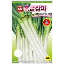 흑금장 파 씨앗 400g 대용량 생육 빠름 수량성 높은 외대파 종자 추위 강함 기르기 쉬운 텃밭 채소 야채 농사