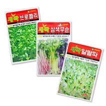 와이쇼핑 소독되지 않은 새싹씨앗 21종 새싹재배, 16)밀, 1개, 1개