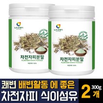 100% 인도산 차전자피 분말가루 자전자비 식이섬유 많은음식 쾌변 숙변제거 방법 보조제 효능추천, 300g 2개