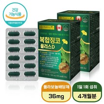혈액 정맥 순환 개선제 영양제 캐나다 산 혈행 개선 징코 플러스 D 스프링리버 알약통 증정, 60캡슐 x 2박스 (4개월분), 60정