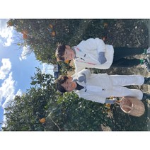 제주조생감귤5kg 10kg 레드향 한라봉 천혜향 초당옥수수 제주레드향 귤 제주귤 제주한라봉 제주천혜향 감귤 제주조생귤, 5kg