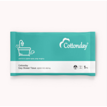 코튼데이 이지 샤워 티슈 1매입 2개