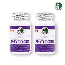 식약처인증 대두추출물 등 복합물 분말 가루 이소플라본 식물성 에스트로겐 세이지잎 붉은토끼풀 천연 콩 파이토케미컬 여성 갱년기 호르몬 영양제 보충제 파이토젠 캐나다 건강기능식품, 120days_이소플라본