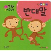 반대말 -똑쟁 아기그림책 (보드북), 별똥별