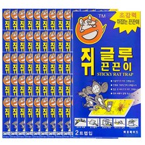 쥐글루 쥐 끈끈이 (2개입), 2개입, 60개
