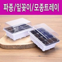 파종 잎꽂이 모종트레이
