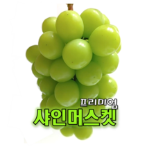 고당도 샤인머스켓 망고포도 천안 입장 포도 특상품 2kg 4kg, 2) 샤인머스켓 4kg 내외